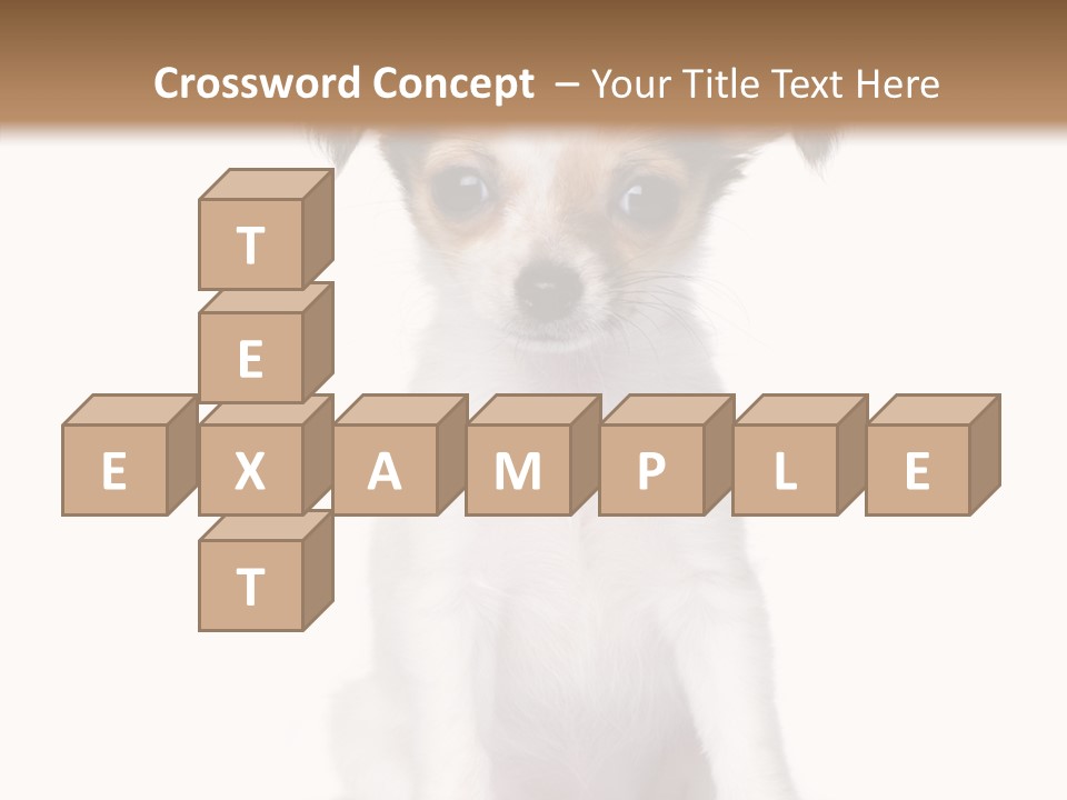 Doggy Minuscule Shot PowerPoint Template