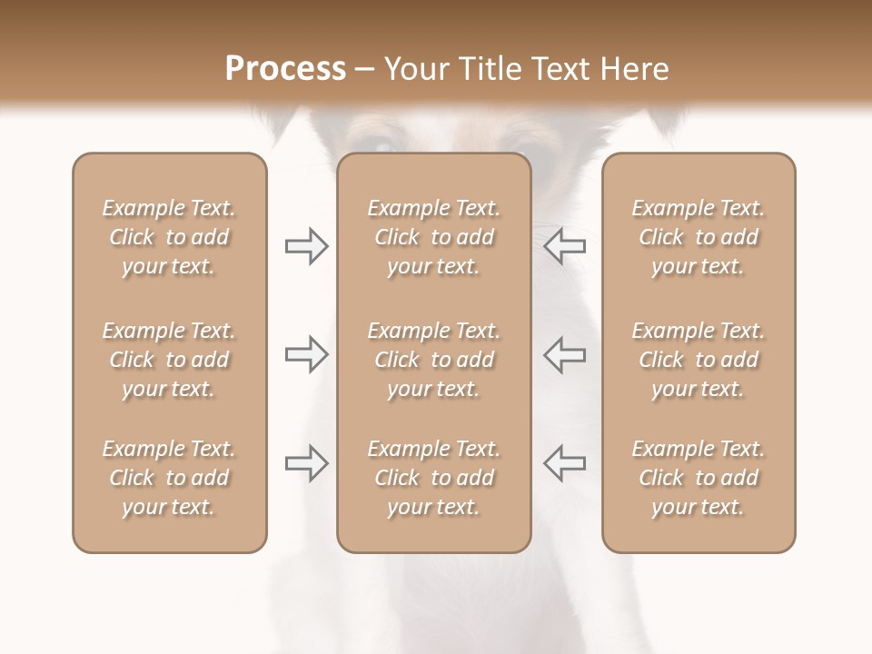 Doggy Minuscule Shot PowerPoint Template
