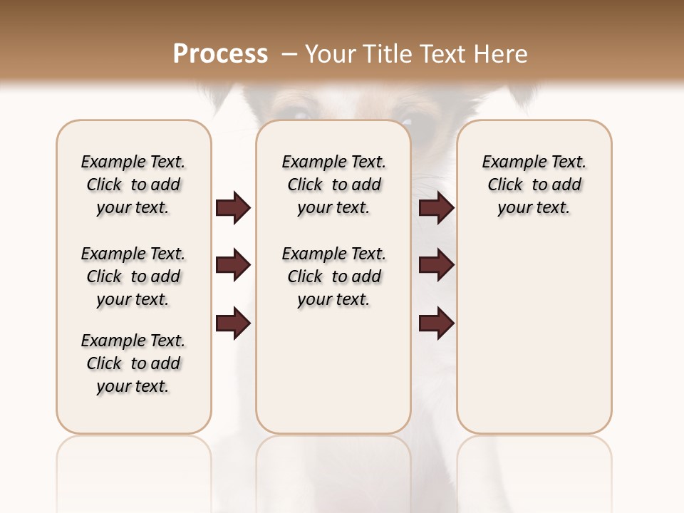 Doggy Minuscule Shot PowerPoint Template