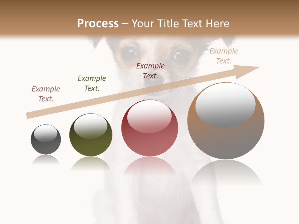 Doggy Minuscule Shot PowerPoint Template