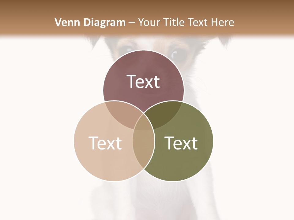 Doggy Minuscule Shot PowerPoint Template