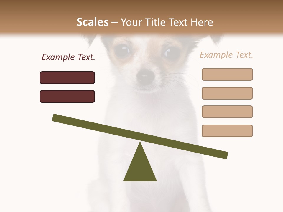Doggy Minuscule Shot PowerPoint Template