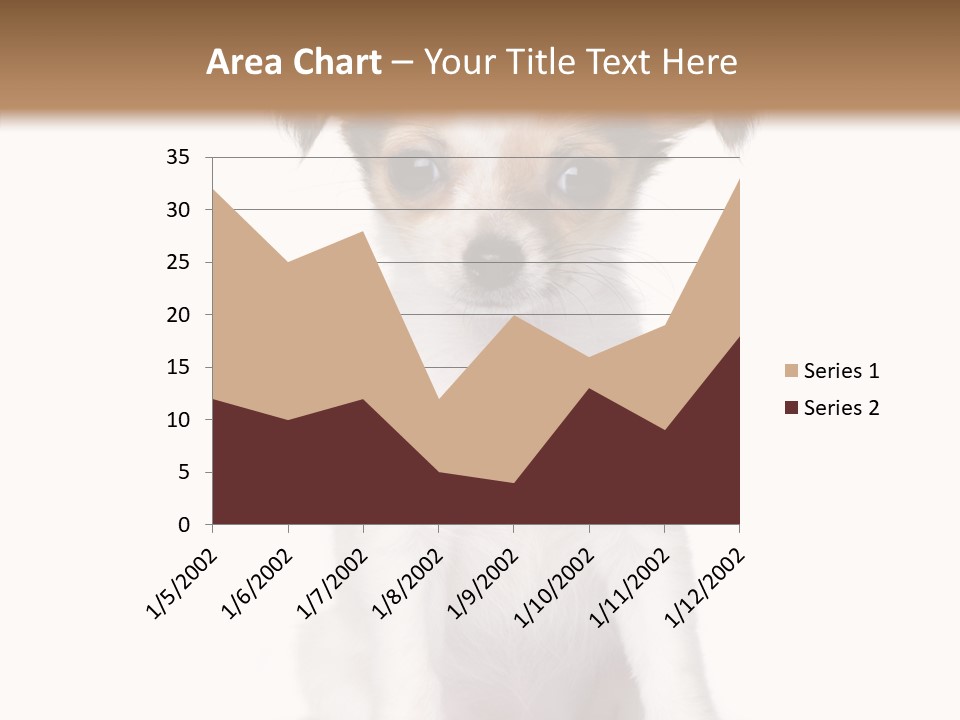 Doggy Minuscule Shot PowerPoint Template