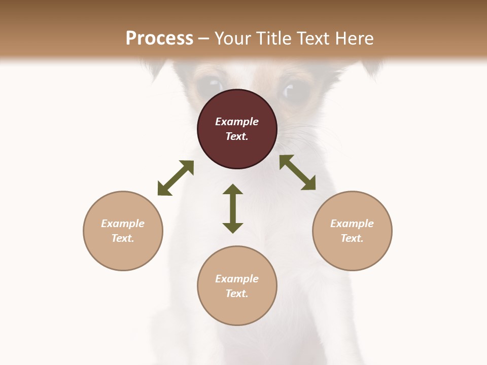 Doggy Minuscule Shot PowerPoint Template