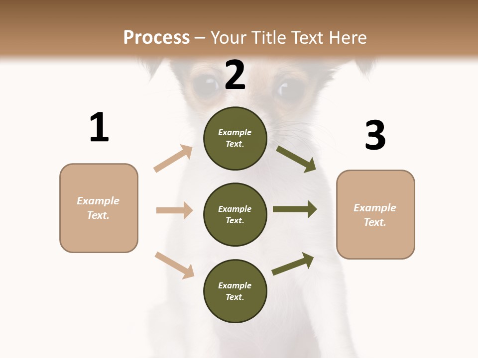 Doggy Minuscule Shot PowerPoint Template