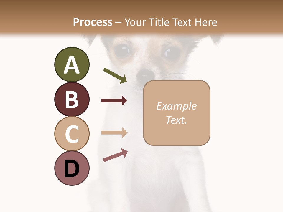 Doggy Minuscule Shot PowerPoint Template