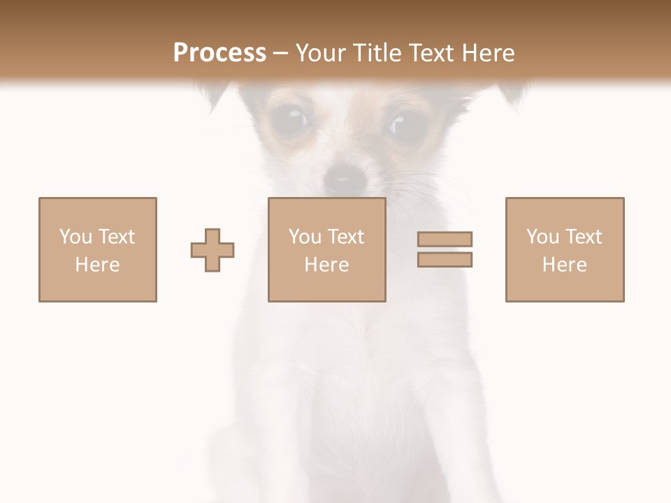 Doggy Minuscule Shot PowerPoint Template
