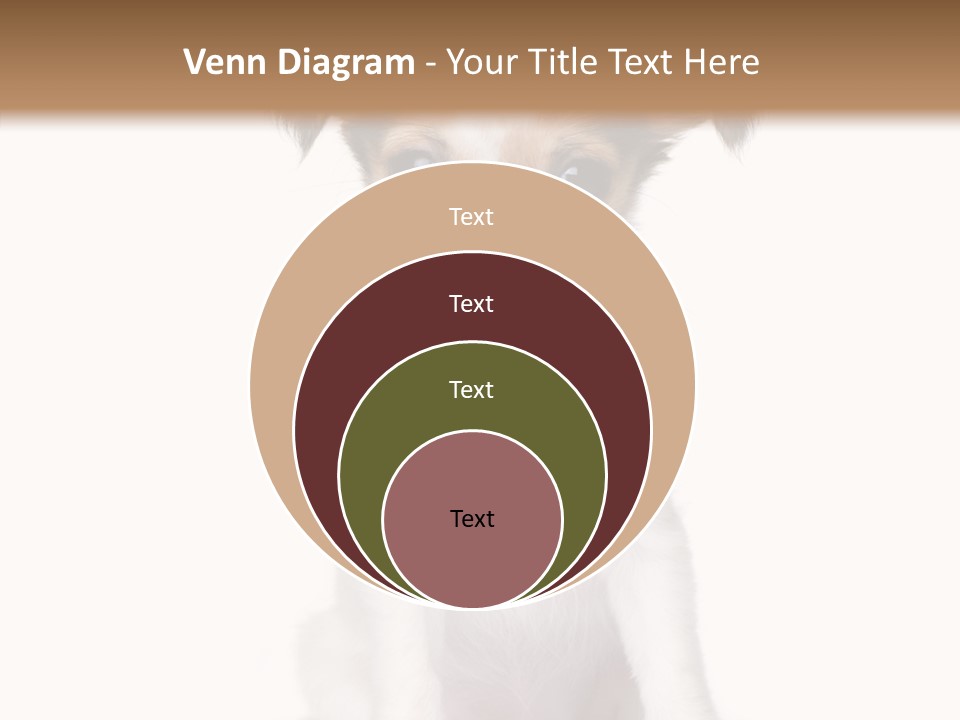 Doggy Minuscule Shot PowerPoint Template