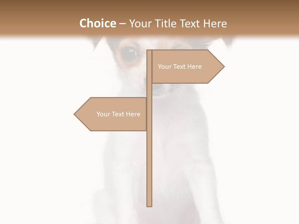 Doggy Minuscule Shot PowerPoint Template