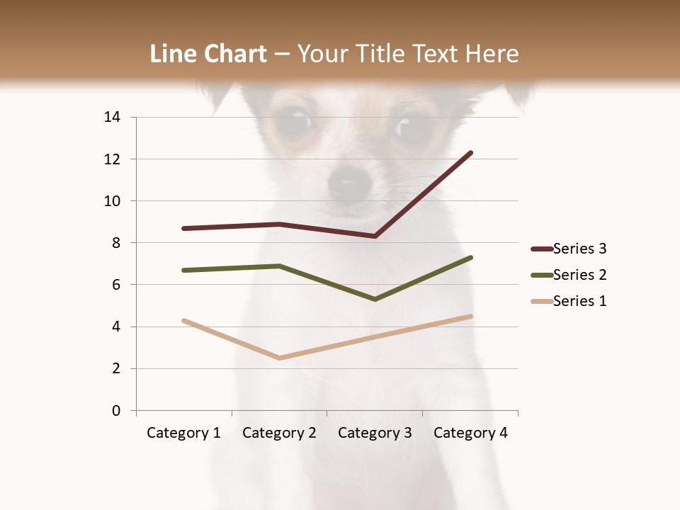 Doggy Minuscule Shot PowerPoint Template