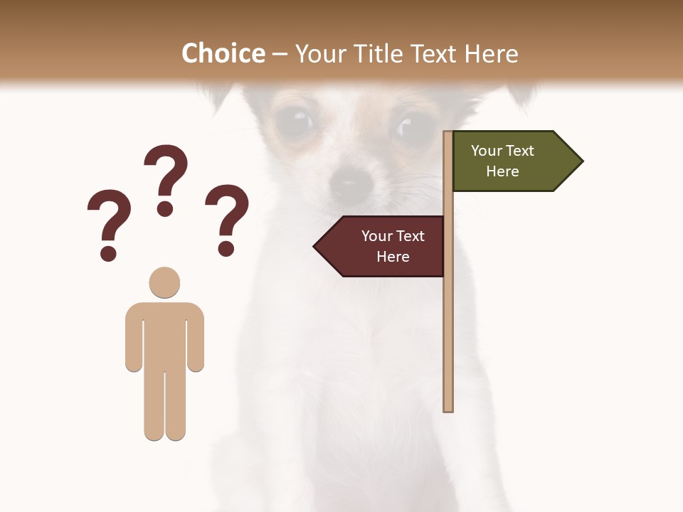 Doggy Minuscule Shot PowerPoint Template