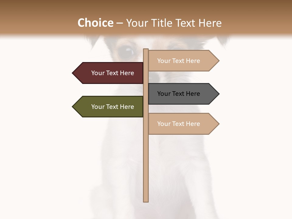 Doggy Minuscule Shot PowerPoint Template