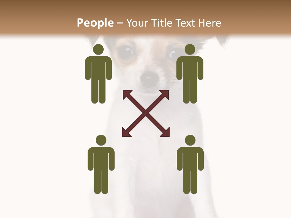 Doggy Minuscule Shot PowerPoint Template