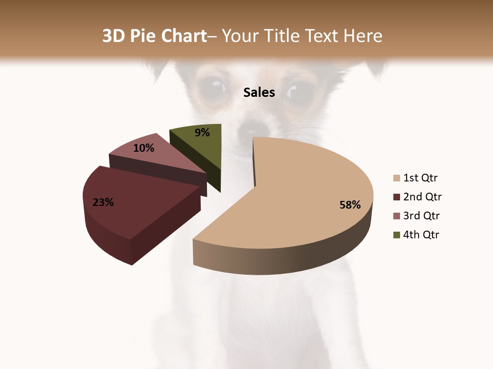 Doggy Minuscule Shot PowerPoint Template
