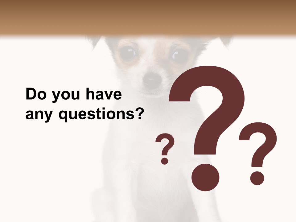 Doggy Minuscule Shot PowerPoint Template