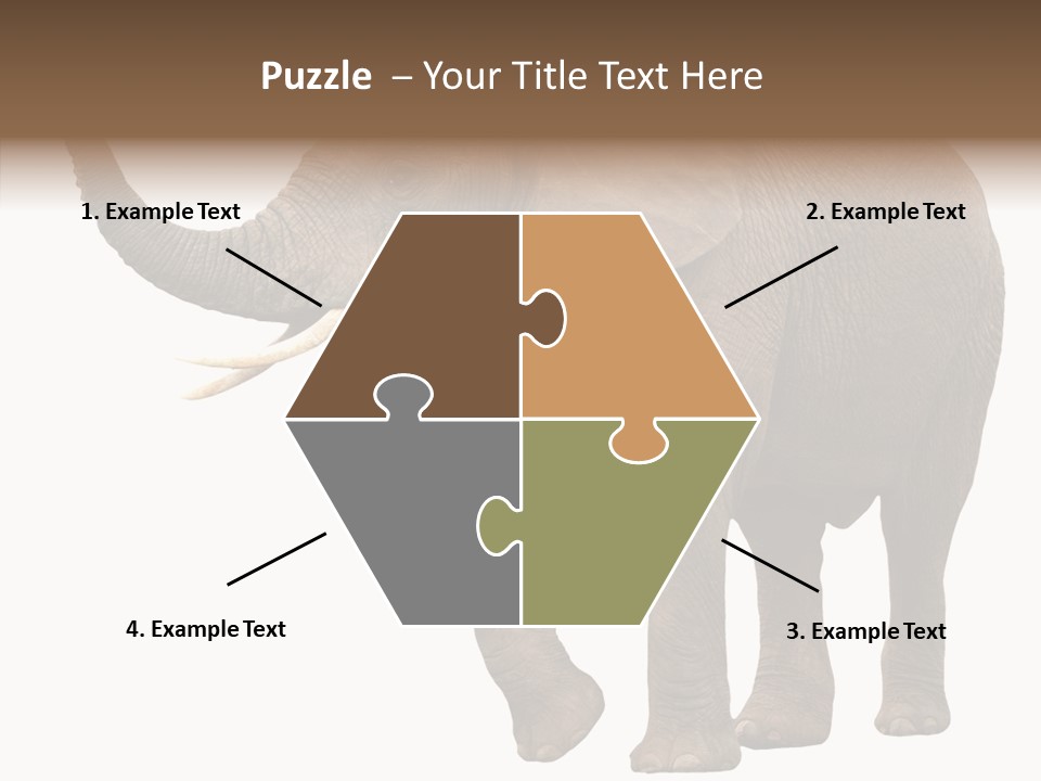 White Elephant Animal PowerPoint Template