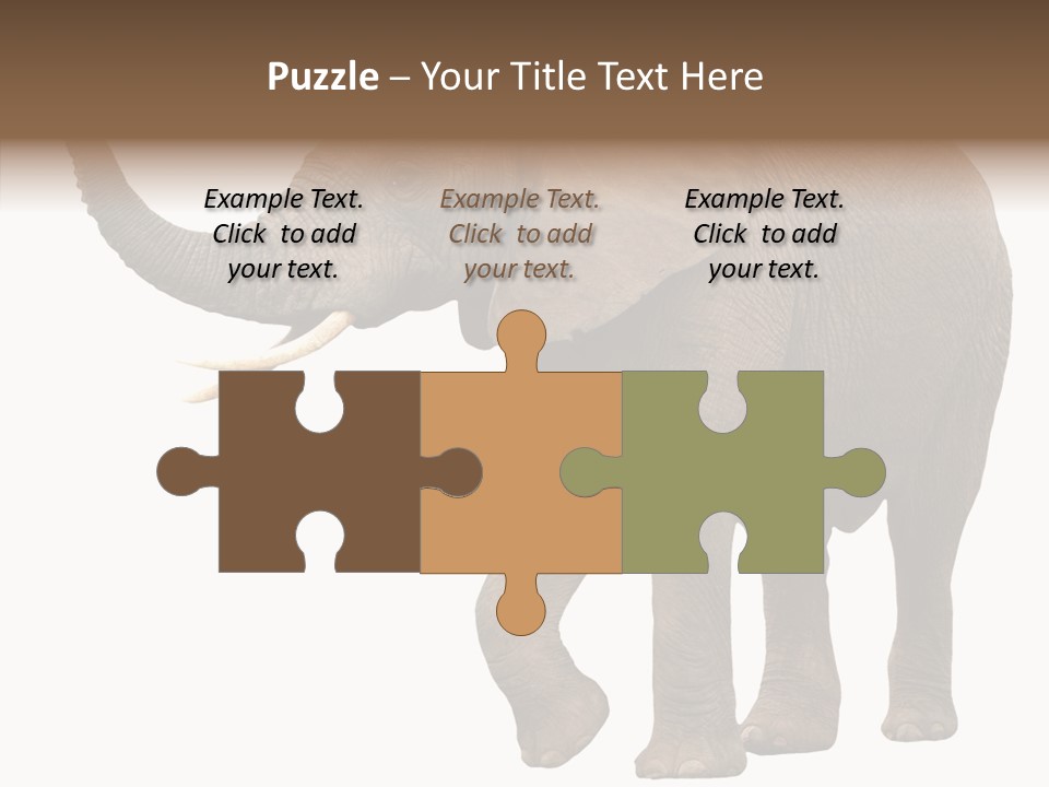 White Elephant Animal PowerPoint Template