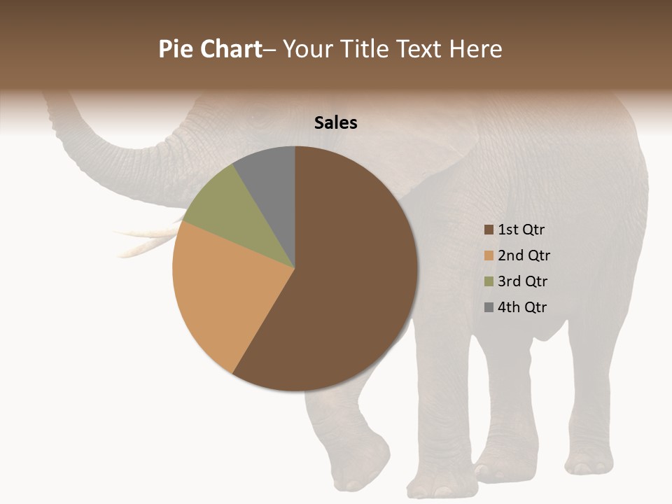 White Elephant Animal PowerPoint Template