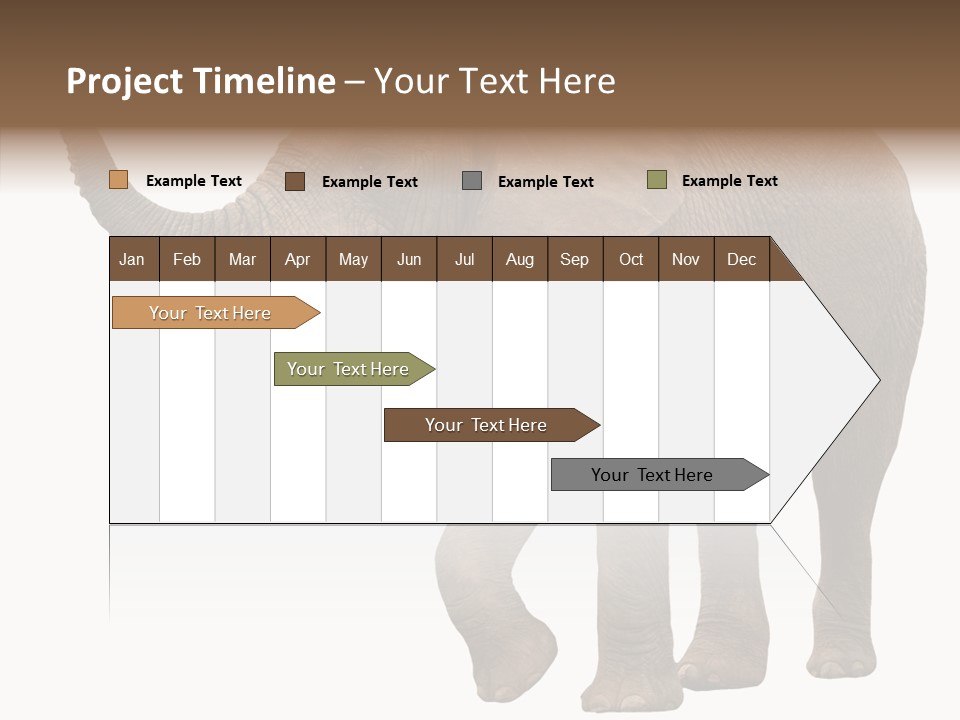 White Elephant Animal PowerPoint Template