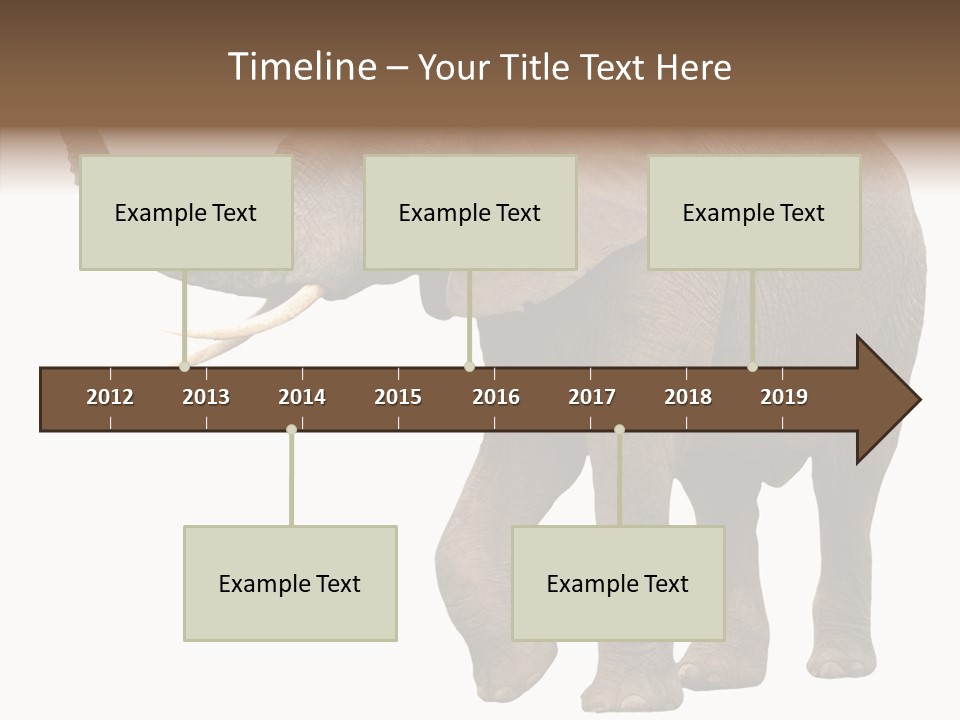 White Elephant Animal PowerPoint Template