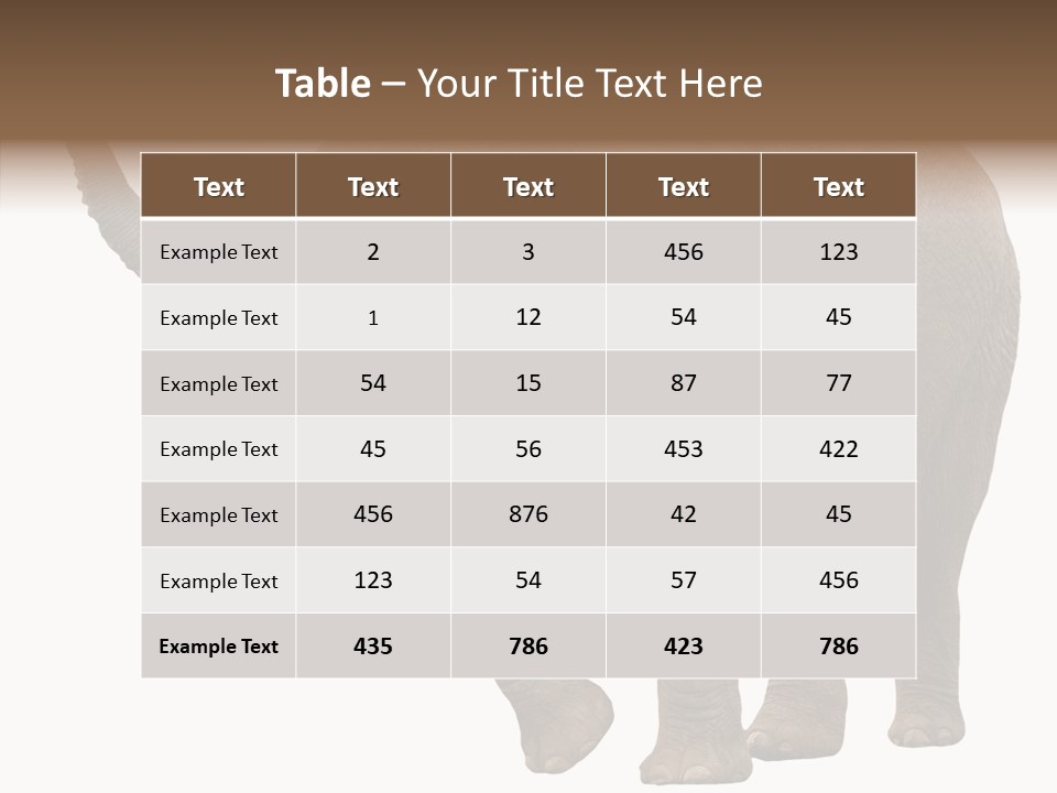 White Elephant Animal PowerPoint Template