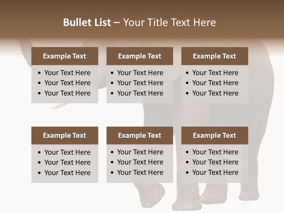 White Elephant Animal PowerPoint Template