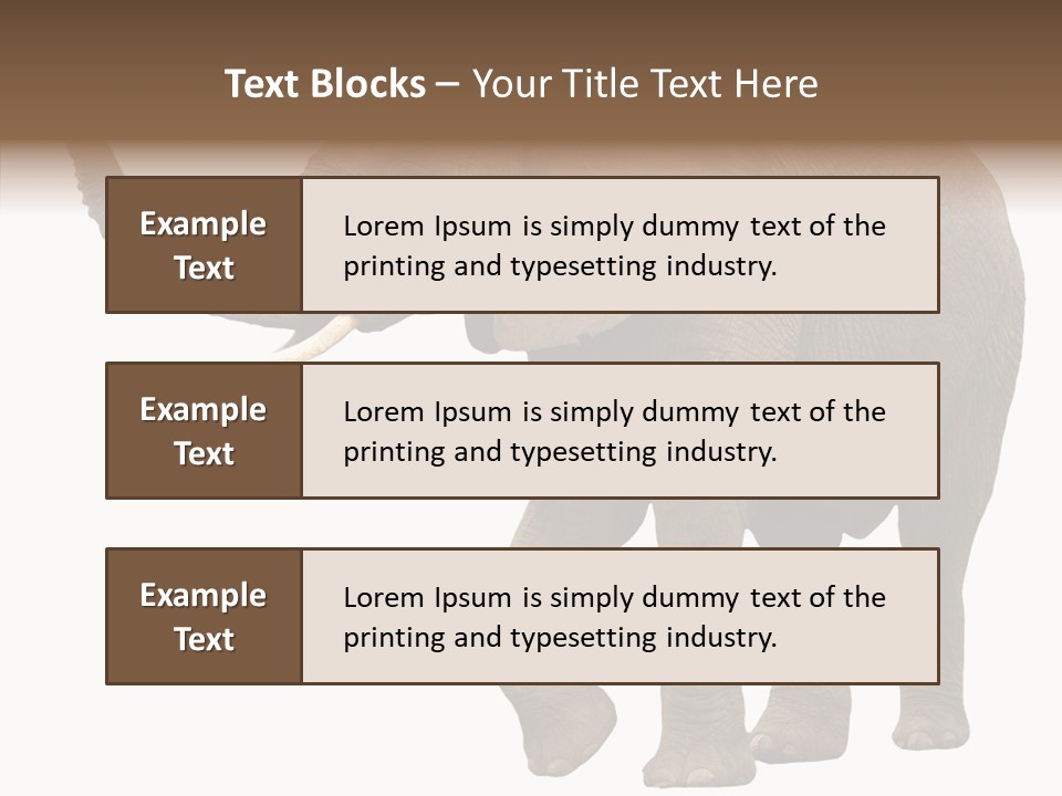 White Elephant Animal PowerPoint Template