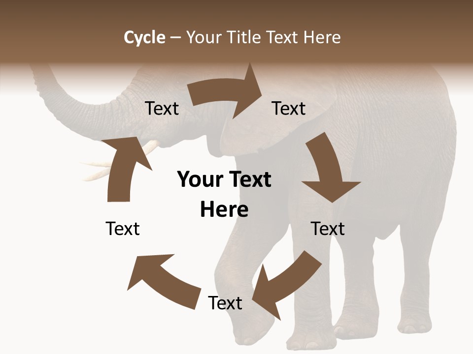 White Elephant Animal PowerPoint Template