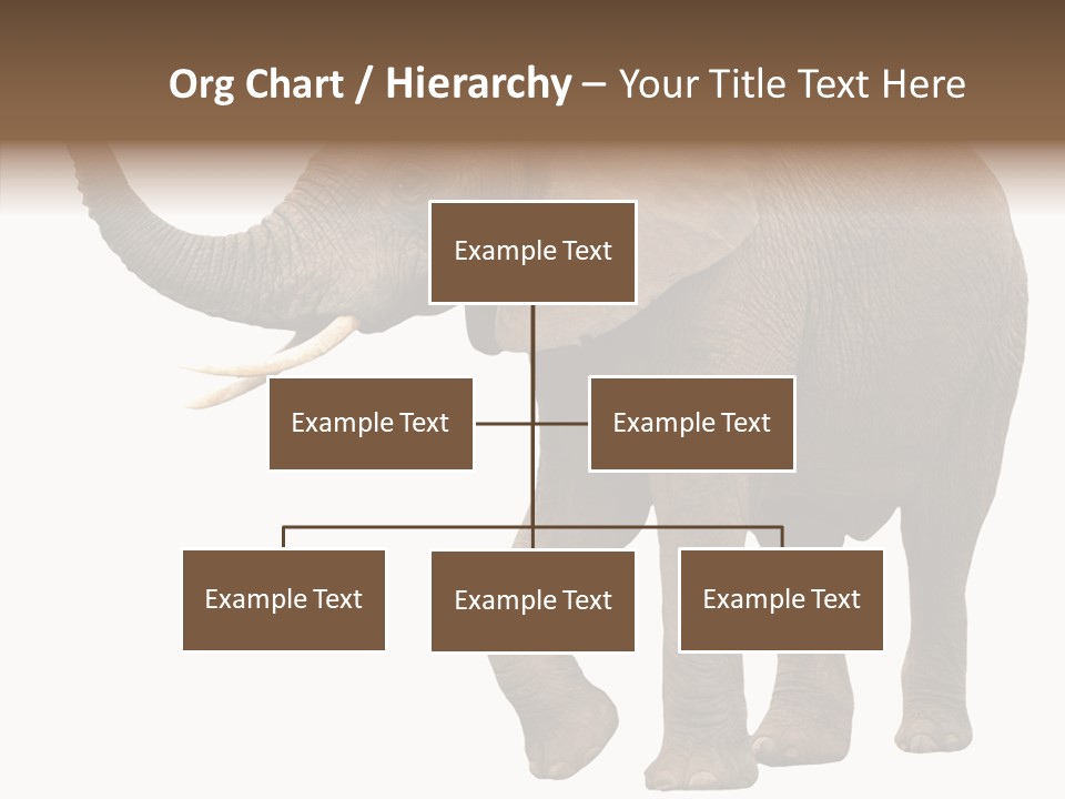 White Elephant Animal PowerPoint Template
