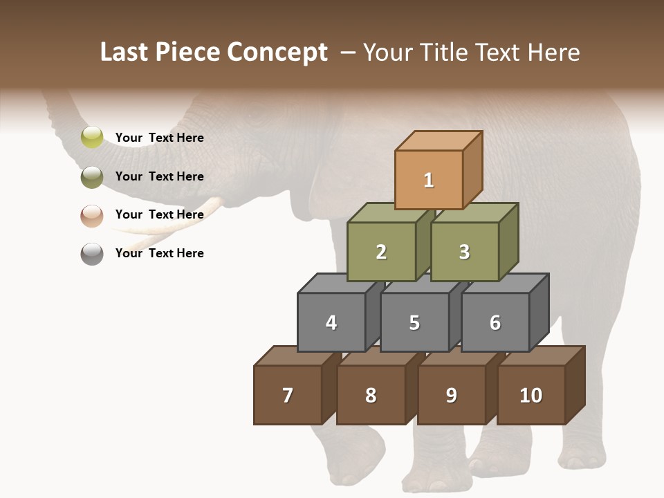 White Elephant Animal PowerPoint Template