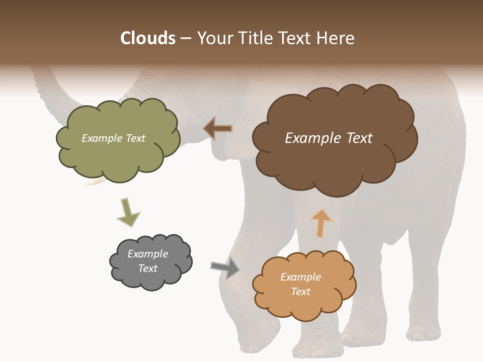 White Elephant Animal PowerPoint Template