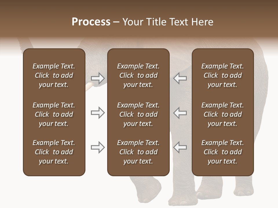 White Elephant Animal PowerPoint Template