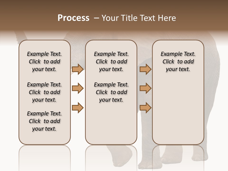 White Elephant Animal PowerPoint Template