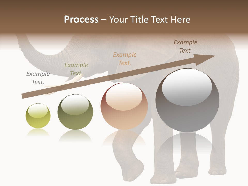 White Elephant Animal PowerPoint Template