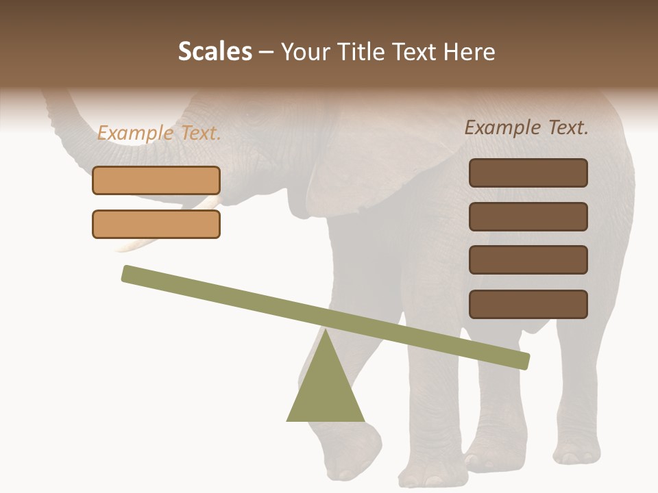 White Elephant Animal PowerPoint Template