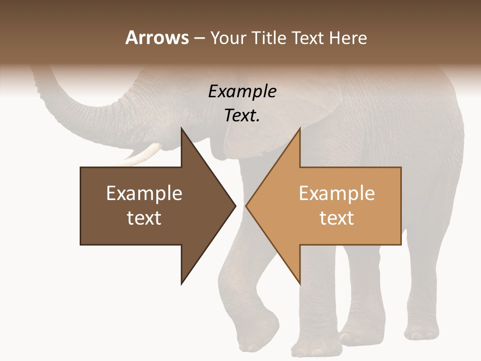 White Elephant Animal PowerPoint Template