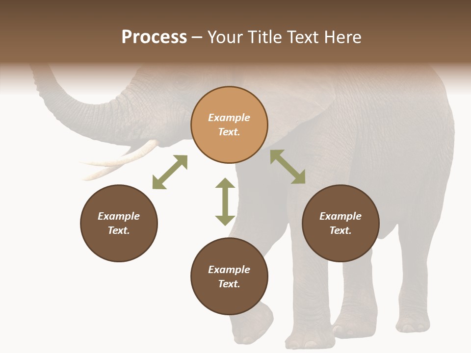 White Elephant Animal PowerPoint Template