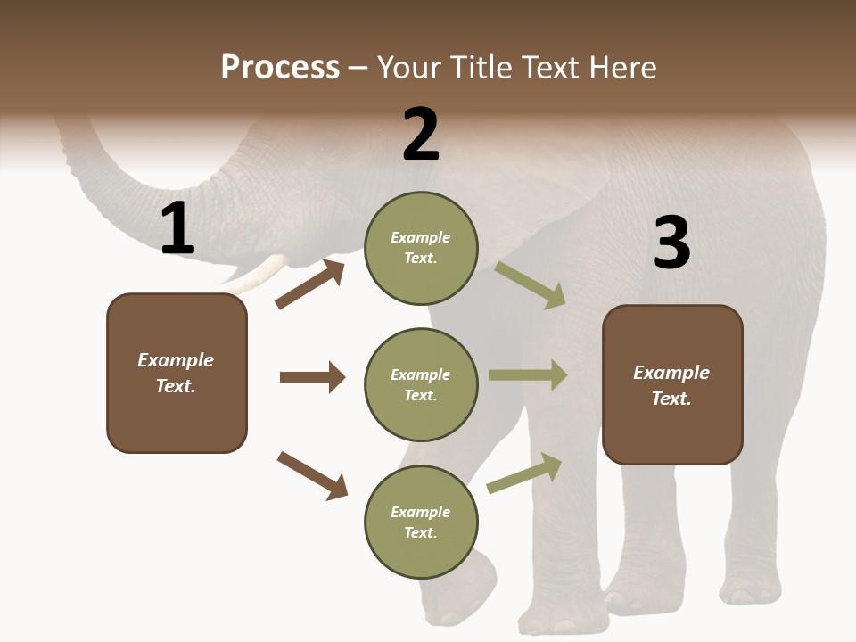 White Elephant Animal PowerPoint Template