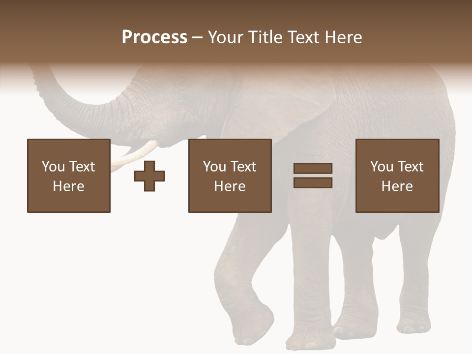 White Elephant Animal PowerPoint Template