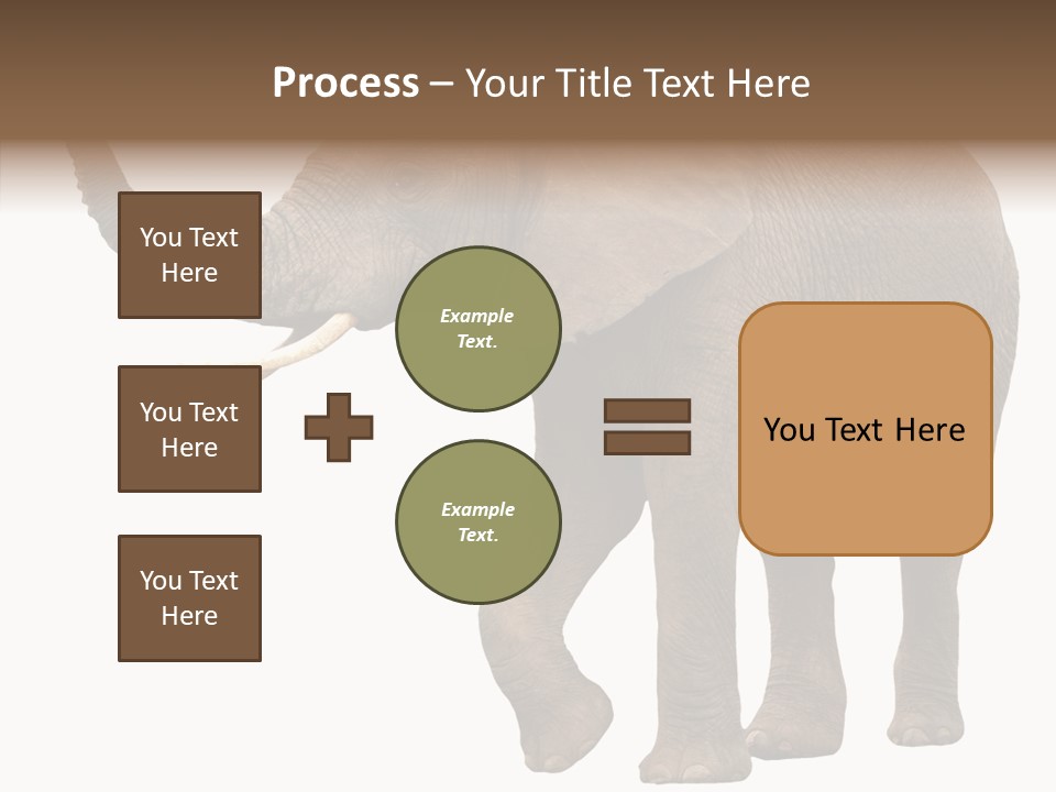 White Elephant Animal PowerPoint Template