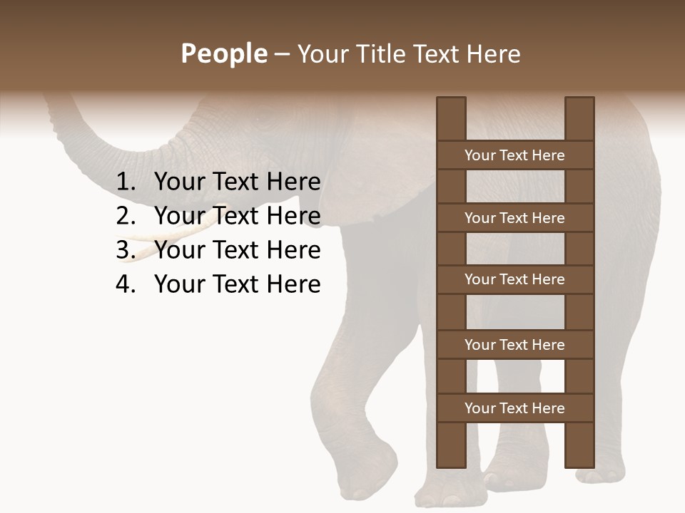 White Elephant Animal PowerPoint Template