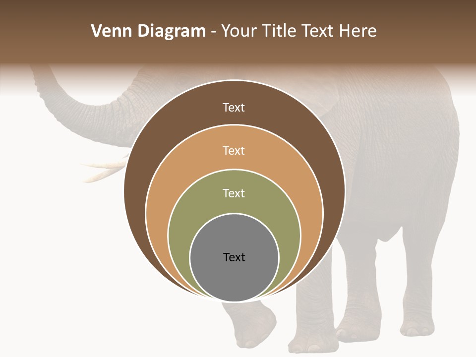 White Elephant Animal PowerPoint Template