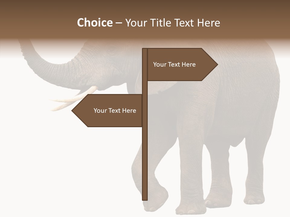 White Elephant Animal PowerPoint Template