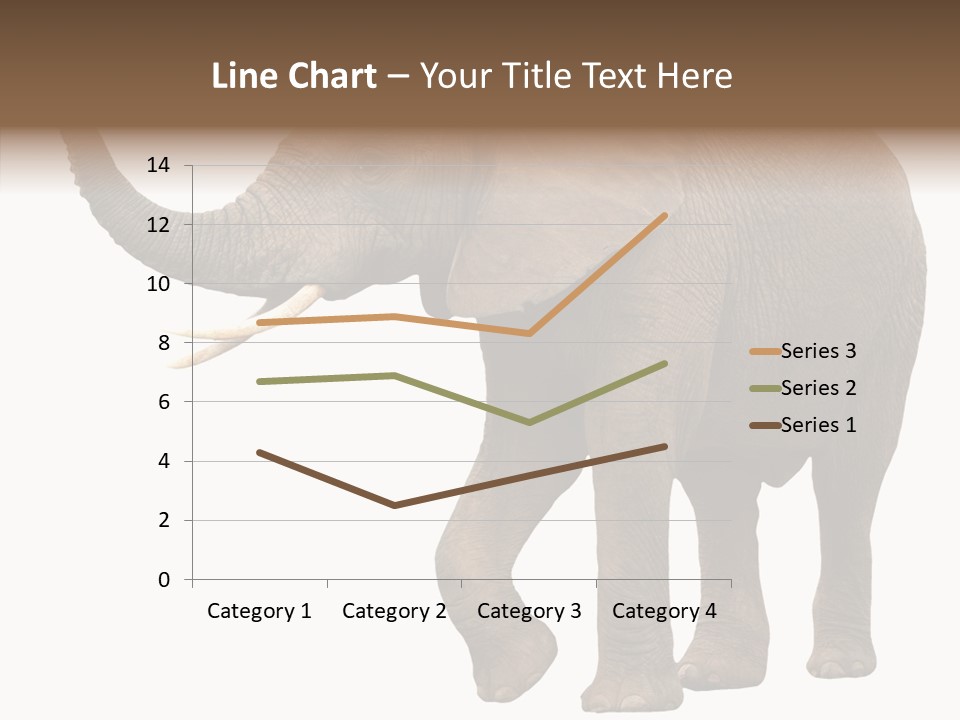 White Elephant Animal PowerPoint Template