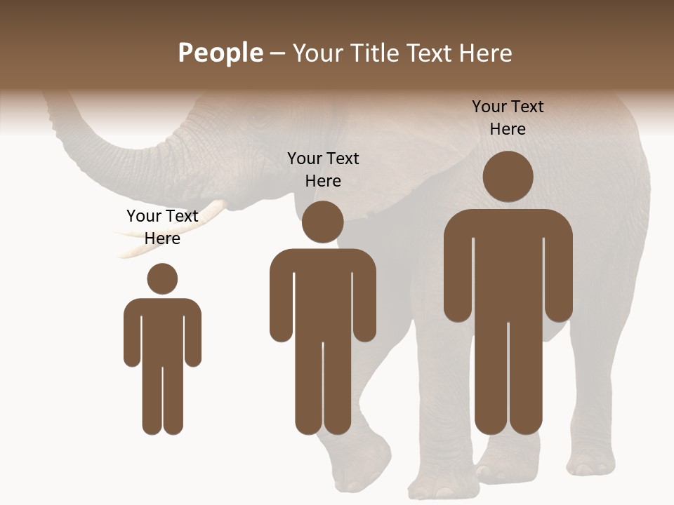 White Elephant Animal PowerPoint Template