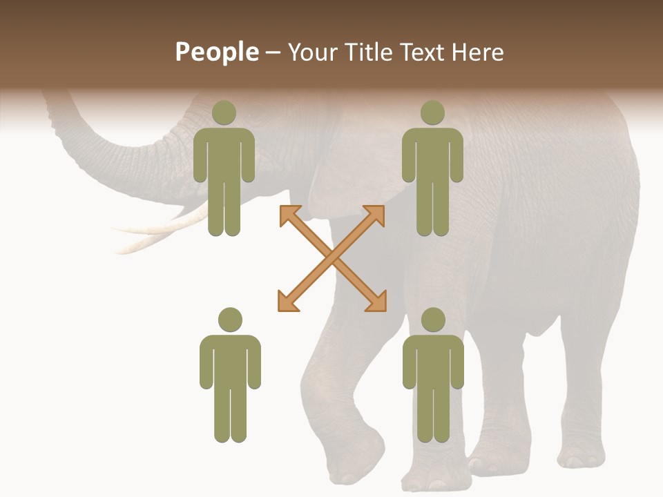 White Elephant Animal PowerPoint Template
