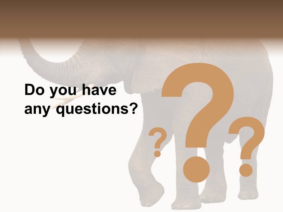 White Elephant Animal PowerPoint Template