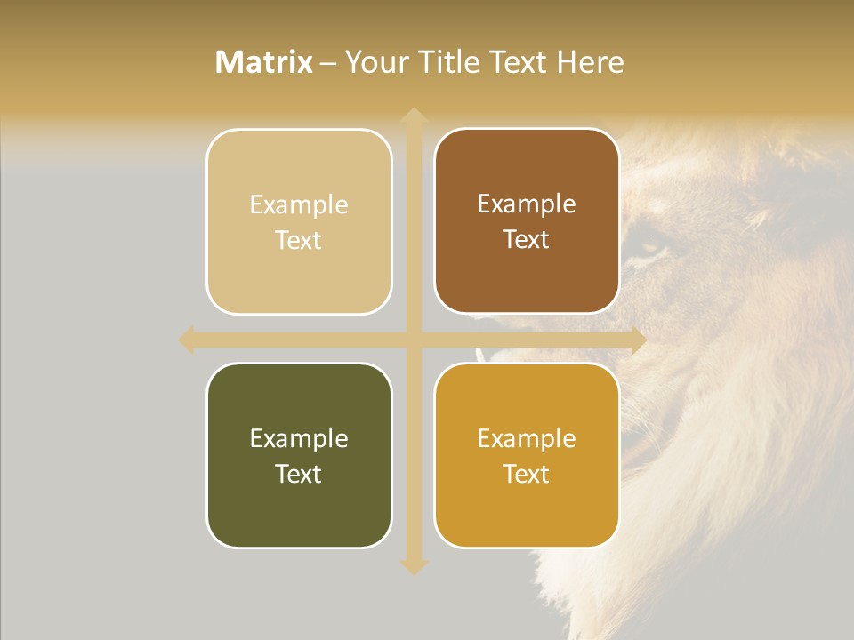 Brown Head Catch Pa PowerPoint Template