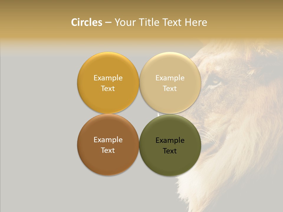 Brown Head Catch Pa PowerPoint Template