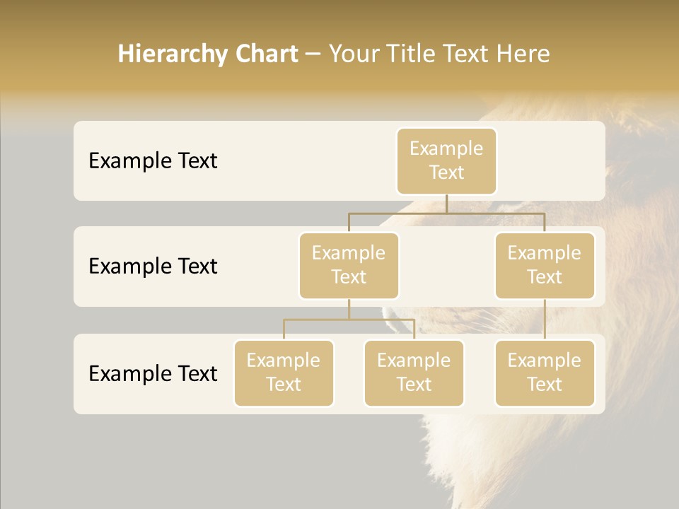 Brown Head Catch Pa PowerPoint Template